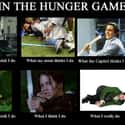 Perspectives, perspectives on Random Best Hunger Games Memes