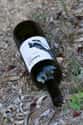 Baby Hospitalized After Being Allowed to Drink Wine on Random Babysitter Horror Stories