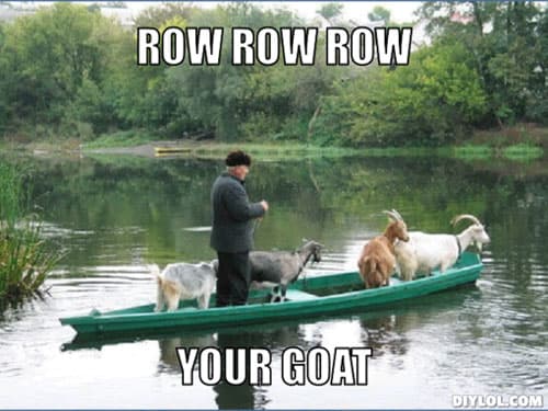 The Best Goat Memes, Jokes, and Puns