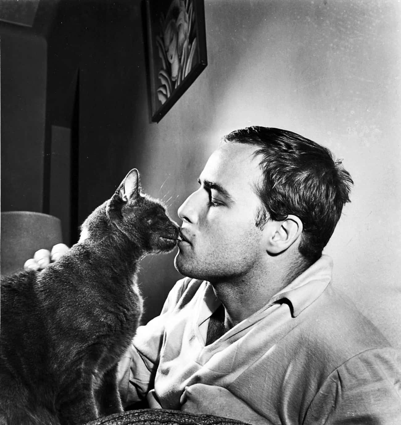 Young Marlon Brando With His Kitty