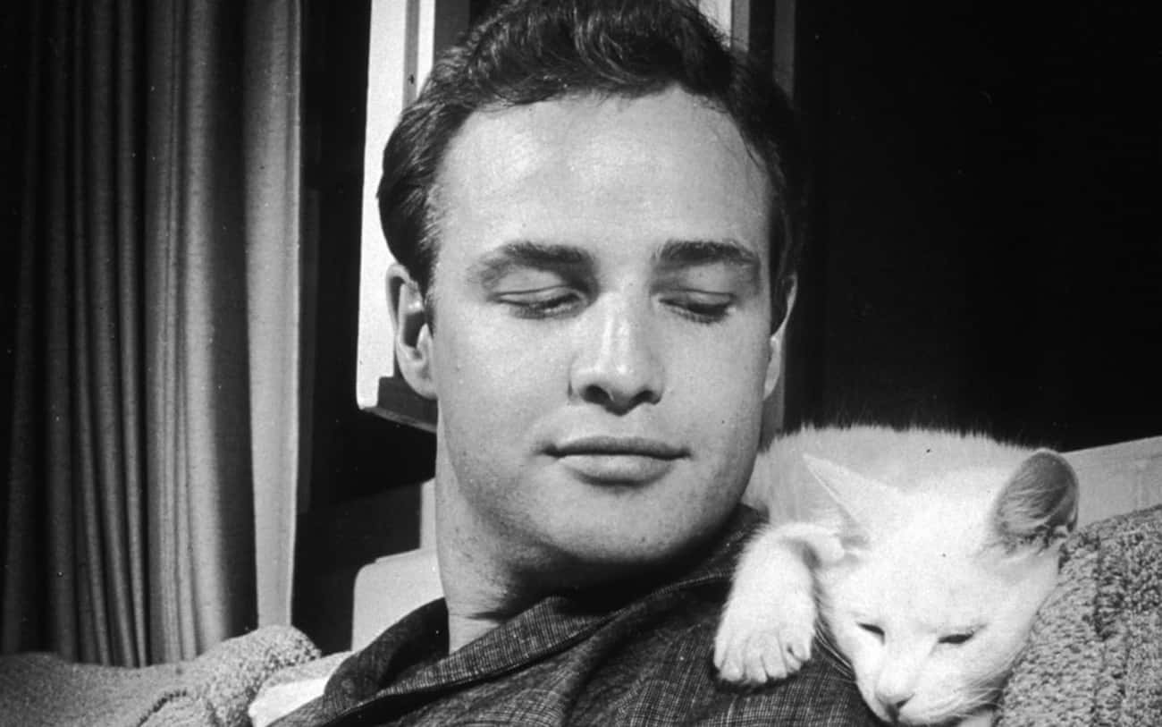 Young Marlon Brando And His Other Cat