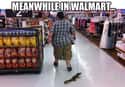 He's Just Taking His Pet Out On A Walk on Random Best Walmart Memes On The Internet