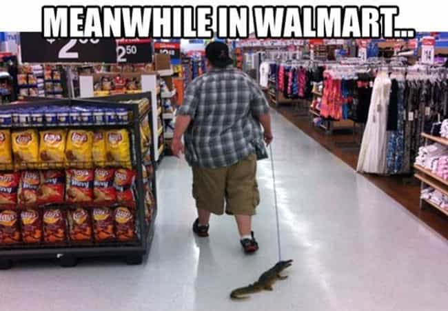 The Best Walmart Memes on the Internet - ViraLuck