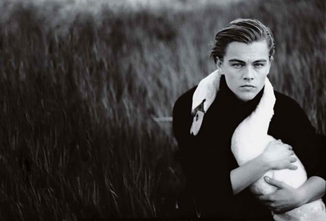 Young Leonardo DiCaprio With His Swan 