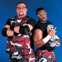 The Dudley Boyz on Random Best Tag Teams In WWE History
