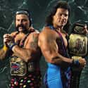 The Steiners on Random Best Tag Teams In WWE History