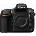 Nikon D810 on Random Best Performing Digital Cameras
