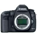 Canon EOS-5D Mark III on Random Best Performing Digital Cameras