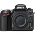 Nikon D750 on Random Best Performing Digital Cameras