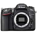 Nikon D7100 on Random Best Performing Digital Cameras