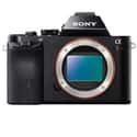 Sony Alpha a7R Mirrorless Digital Camera on Random Best Performing Digital Cameras