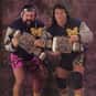 The Steiners is listed (or ranked) 5 on the list The Best Tag Teams in WCW History