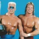 Sting And Lex Luger on Random Best Tag Teams in WCW History