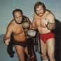 The Minnesota Wrecking Crew is listed (or ranked) 7 on the list The Best Tag Teams in WCW History