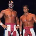 Stars and Stripes on Random Best Tag Teams in WCW History