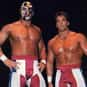 Stars and Stripes is listed (or ranked) 40 on the list The Best Tag Teams in WCW History