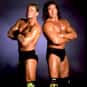 Perfect Event is listed (or ranked) 43 on the list The Best Tag Teams in WCW History