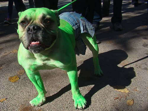 https://imgix.ranker.com/user_node_img/50040/1000798385/original/the-incredible-y-adorable-hulk-photo-u1?auto=format&q=60&fit=crop&fm=pjpg&dpr=2&w=650