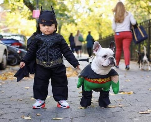 Смешная одежда для собак. Детей одевают в животных. Детские новогодние костюмы животных. Векторное изображение люди в карнавальных костюмах зверей. Дети в костюмах вектор.