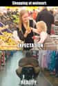 The Ugly Reality Of Walmart on Random Best Walmart Memes On The Internet