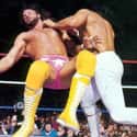Ricky Steamboat vs. Randy Savage on Random Best Wrestlemania Matches