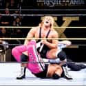 Bret Hart vs. Owen Hart on Random Best Wrestlemania Matches