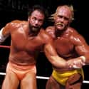 Hulk Hogan vs. Randy Savage on Random Best Wrestlemania Matches