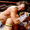 Ultimate Warrior vs. Randy Savage on Random Best Wrestlemania Matches