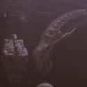 An Alien Skull Appears in the Trophy Room of Predator 2 on Random Easy-To-Miss Horror Movie Easter Eggs