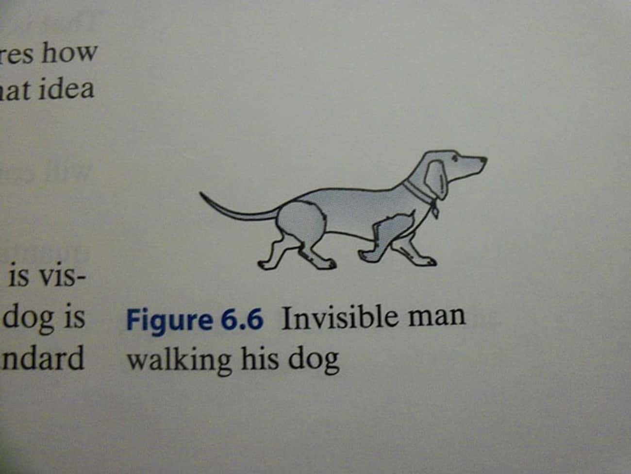 Invincible Figure. This is his dog