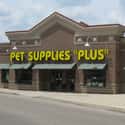 Pet Supplies Plus on Random Best Pet Stores In America