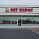 Pet Depot on Random Best Pet Stores In America
