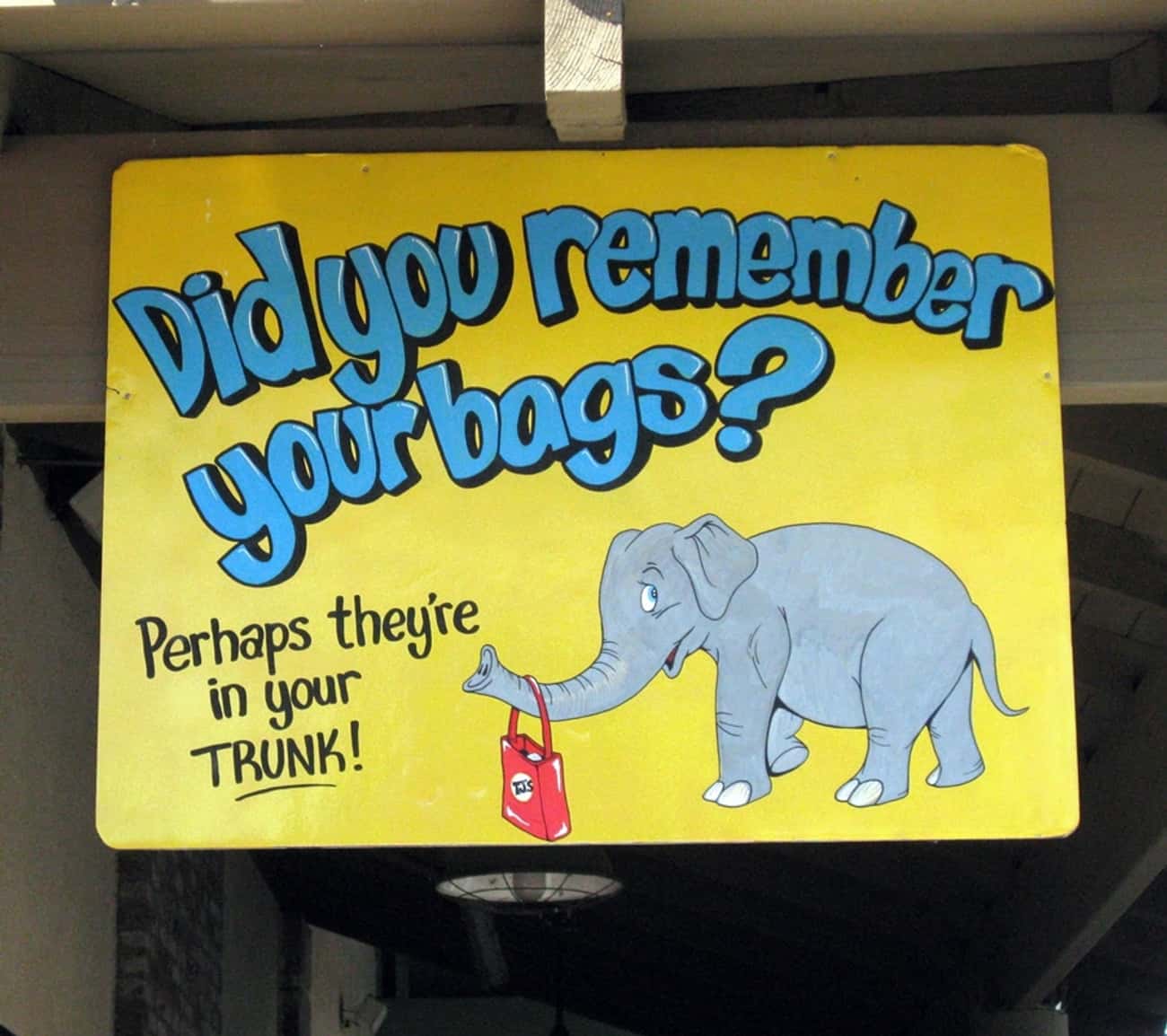 Unlike You, an Elephant Never Forgets