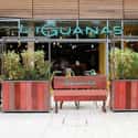 Las Iguanas on Random Best Restaurant Chains in the UK