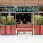 Las Iguanas is listed (or ranked) 9 on the list The Best Restaurant Chains of the UK