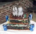 Why Not Have A Themed Cake? on Random Hilarious Hillbilly Wedding Photos
