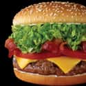 Red Robin Bacon Cheeseburger on Random Best Fast Food Burgers