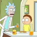 Rick's View on Love on Random Top Quotes From 'Rick and Morty' That You Can't Miss