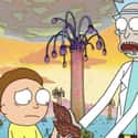 Your Whole Life Ahead of You on Random Top Quotes From 'Rick and Morty' That You Can't Miss