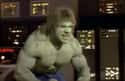 TV Hulk Lou Ferrigno Contributed To The Voice Of The Hulk on Random Fun Facts & Trivia About Marvel's 'Avengers'