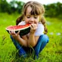 If You Swallowed a Watermelon ... is listed (or ranked) 5 on the list The Silliest Things You Thought Were True as a Kid
