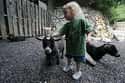 Petting Zoos Can Cause Illness on Random Secrets Zoos Don't Want You to Know