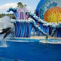 SeaWorld Has Been Fined For Safety Violations on Random Things You Should Know About SeaWorld