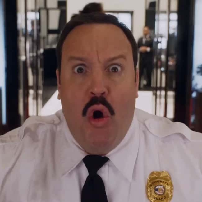 Paul Blart: Mall Cop 2 Movie Quotes