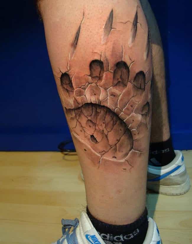 A Bear Seems to Have Left Quite an Impression on His Leg