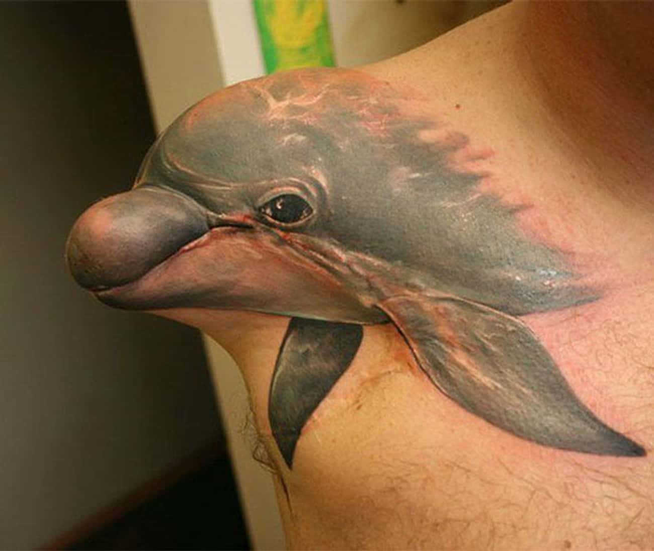 This Adorable Dolphin Dude