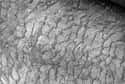 This Human Hair! on Random Awesome Things Seen Through a Microscope