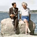 Albert Einstein And A Friend, 1939 on Random Most Amazing Colorized Black and White Photos