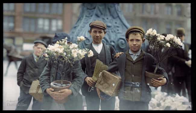 Boys With Flowers in 1908
