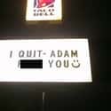 Declaring Independence From Taco Bell on Random People Who Quit Their Jobs in the Best Way Possible